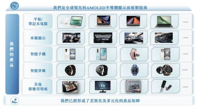 上海半导体面板龙头冲刺港交所中国第一市值300亿(图2)