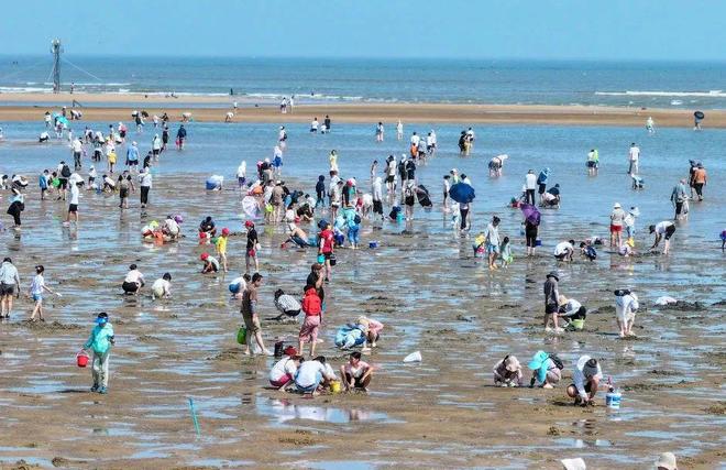 又火了！增速全国第七！日照文旅上大分！(图17)