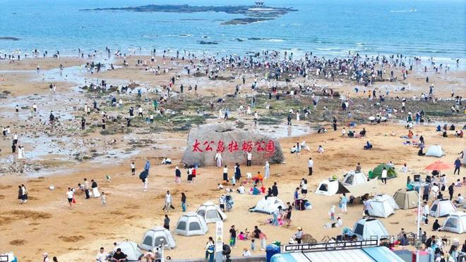 又火了！增速全国第七！日照文旅上大分！(图16)